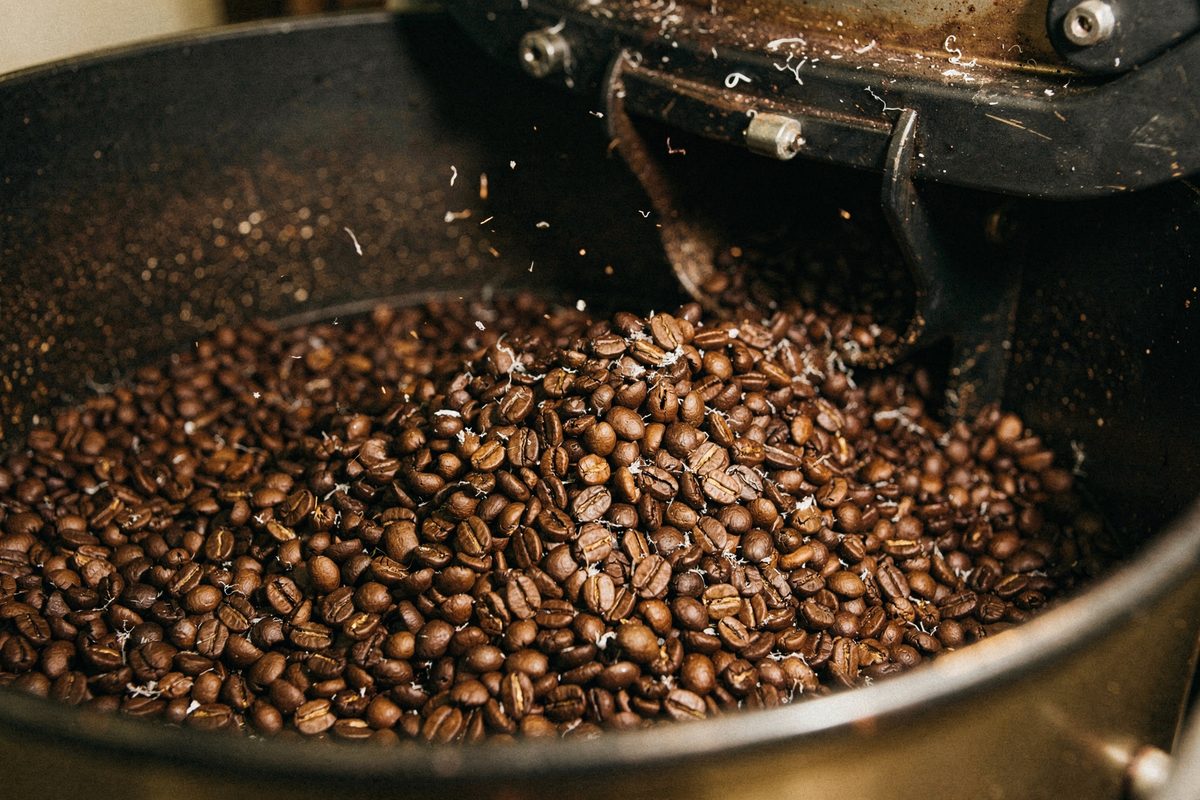 Coffee beans cracking exothermically with visible centerline expansion.