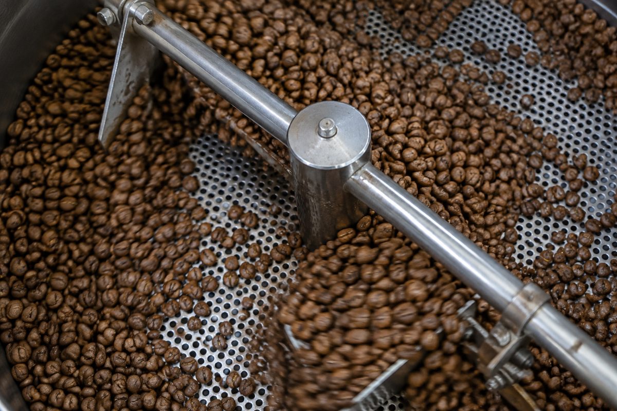 Light-medium roasted specialty coffee beans circulating across a stainless cooling bed.